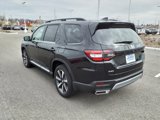 New 2025 Honda Pilot Elite image 5
