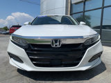 Used 2020 Honda Accord EX image 2