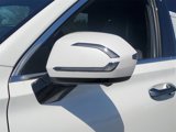 New 2025 Hyundai Palisade Calligraphy image 4