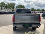 New 2025 Ford F150 XLT w/ Equipment Group 303A High image 4