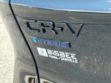New 2026 Honda CR-V TrailSport image 5