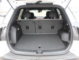 New 2025 GMC Terrain Elevation image 5