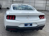 Used 2024 Ford Mustang Premium image 5