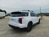 New 2025 Hyundai Palisade XRT image 5