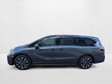 New 2026 Honda Odyssey Elite image 5