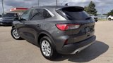 Used 2020 Ford Escape SE image 5