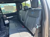 New 2025 Ford F150 Platinum image 5