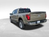 New 2025 Ford F150 XLT image 3