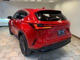 Used 2023 Lexus NX 350 AWD w/ Cold Area Package image 6