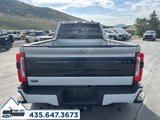 Used 2025 Ford F450 Platinum image 5