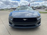 Certified 2024 Ford Mustang Premium image 5