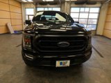 Certified 2023 Ford F150 XLT w/ Equipment Group 302A High image 2
