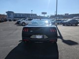 New 2025 Ford Mustang GT w/ Mustang Nite Pony Package image 5
