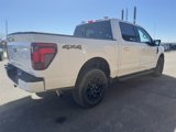New 2025 Ford F150 XLT w/ Equipment Group 302A MID image 5