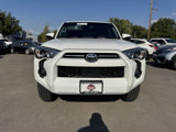 Used 2023 Toyota 4Runner SR5 Premium image 3