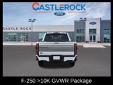 New 2025 Ford F250 Platinum w/ FX4 Off-Road Package image 6