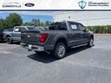 New 2025 Ford F150 XLT w/ Equipment Group 302A MID image 3