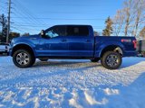 Used 2017 Ford F150 XLT w/ Equipment Group 302A Luxury image 5