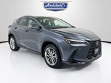 Used 2024 Lexus NX 350 AWD w/ Premium Package image 1