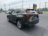 Used 2024 Lexus NX 350 AWD w/ Luxury Package image 3