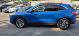 Used 2021 Ford Escape SEL image 6