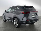 New 2025 Lexus NX 300h AWD w/ Luxury Package image 5