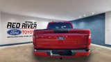 New 2025 Ford F150 STX w/ STX Black Appearance Package image 4