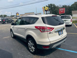 Used 2014 Ford Escape Titanium image 4