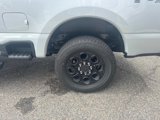 New 2025 Ford F250 XLT w/ Black Appearance Package image 3