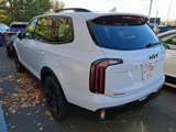New 2025 Kia Telluride SX Prestige X-Line image 3