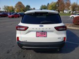 New 2025 Ford Escape ST-Line Elite w/ Tech Pack #2 image 4