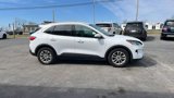 Used 2020 Ford Escape SE image 6