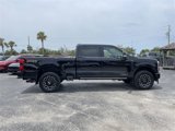 New 2025 Ford F250 Platinum image 3