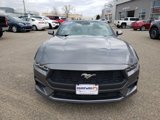 Certified 2024 Ford Mustang Premium image 3