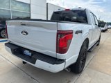 New 2025 Ford F150 XLT image 5