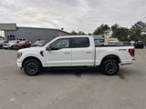 Used 2023 Ford F150 XLT w/ Equipment Group 302A High image 2