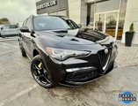 Used 2024 Alfa Romeo Stelvio Quadrifoglio w/ Quick Order Package 25A 100th image 5