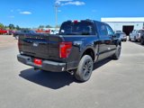 New 2025 Ford F150 Platinum image 3