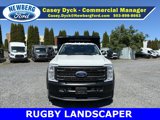 New 2025 Ford F450 XL image 2