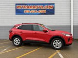 Used 2024 Ford Escape Active w/ Tech Pack #2 image 3