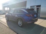 Used 2024 Hyundai Tucson SEL image 3