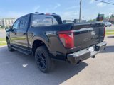 New 2025 Ford F150 XLT w/ Equipment Group 302A MID image 3