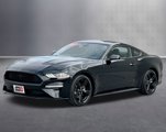 Used 2022 Ford Mustang Coupe w/ Equipment Group 101A image 3