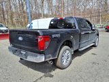 New 2025 Ford F150 XLT w/ Equipment Group 303A High image 2