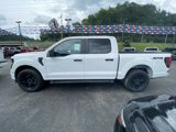 New 2025 Ford F150 STX w/ STX Black Appearance Package image 4