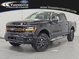 New 2025 Ford F150 Tremor w/ Bed Utility Package image 1