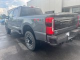 New 2025 Ford F250 Platinum image 2