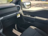 New 2025 Ford F150 XLT image 6