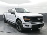 New 2025 Ford F150 XLT w/ Equipment Group 303A High image 2