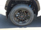 New 2025 Toyota Tundra 1794 Edition image 5